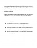 La importancia de la sociología