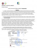 Control y Prevención de Peligros y Riesgos en Estequiometría