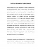 Proteccion y mejoramiento del medio ambiente