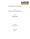 Tipos de litigio