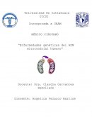 MÉDICO CIRUJANO “Enfermedades genéticas del ADN mitocondrial humano”