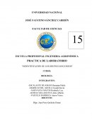 PRACTICA DE LABORATORIO “INDENTIFICACIÓN DE LOS GRUPOS SANGUINEOS”