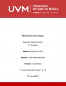 Negocios Gastronómicos.Grupo Bimbo