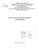 Normas de Auditoría Generalmente Aceptada en Venezuela (NAGAS)