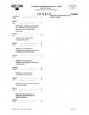 Manual de parasitologia