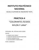 PRÁCTICA 4 “COLORANTES ÁCIDOS"