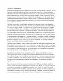 Starbucks – Organización