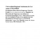 IMPLEMENTACION DE UNA EMPRESA PARA LA ELABORACION DE SHAMPOO ECOLOGICO EN LA CIUDAD DE RIOBAMBA