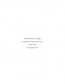 Análisis del entorno y estrategias. Formulación y evaluación de proyectos