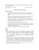 Autoritarismo en los imperios antiguos