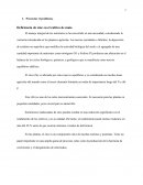 Deficiencia de zinc en el cultivo de maíz