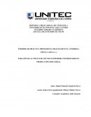 INFORME DE PRÁCTICA PROFESIONAL REALIZADO EN LA EMPRESA PDVSA VASSA S, A