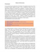 Sistema Cardiovascular. Preeclampsia