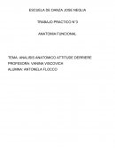 Analisis biomecanico de attitude derriere