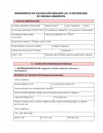 INSTRUMENTOS DE VALORACIÓN MEDIANTE LAS 14 NECESIDADES DE VIRGINIA HENDERSON. Página 1
