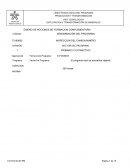 Tutela. Informe Programa de Formación Complementaria