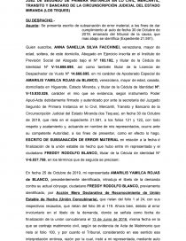 Escrito subsanacion error material. Página 1