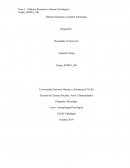 Ideas principales acerca de la Psicología Cultural