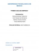 ANÁLISIS EMPRESA NANY