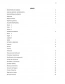 DESCRIPCIÓN DEL NEGOCIO IDEA DEL NEGOCIO / ANTECEDENTES