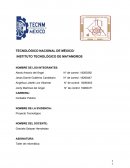 Impresora Portátil Cían