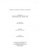 INFORME DE LAS PERSONAS JURIDICAS Y DE LOS BIENES