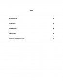 Liderazgo y rendimiento