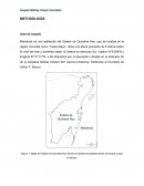 Aves de México: Guía de campo