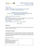 PRÁCTICA No. 8 – SEPARACIÓN DE PIGMENTOS VEGETALES POR CROMATOGRAFÍA DE PAPEL