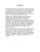 La importancia del casco de protección industrial