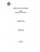 INSPECCION DE SEGURIDAD