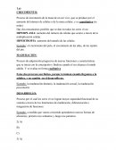 Etapas de desarrollo psicomotriz