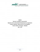 Dirección, Liderazgo y Comunicación. Segundo avance. Comunicación interpersonal en la organización