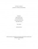 Actores de la cadena de abastecimiento UPL Colombia S.A.S