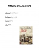 Informe Martin Fierro