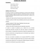 EMPRESA: MULTITAC S.A.C