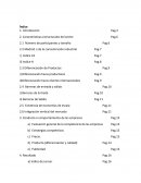 Trabajo Grupal Organización Industrial