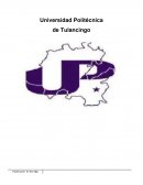 Proyecto - Papeleria