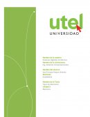 Ing. Sistemas Computacionales. Memorias