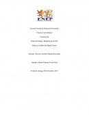 Organizacion de las Naciones Unidas