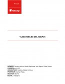 Análisis del caso mieles del Maipo: Propuesta de un sistema de control de gestión de calidad