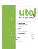 Capital de desarrollo humano.Empresa en que laboro Grupo Coppel