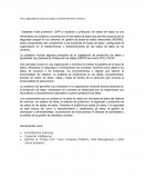 Seguridad de bases de datos y almacenamiento masivos