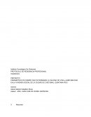 PROYECTO: PARÁMETROS DE DISEÑO QUE DETERMINAN LA CALIDAD DE VIDA y HABITABILIDAD EN LA VIVIENDA SOCIAL DE LA CIUDAD DE CHETUMAL, QUINTANA ROO