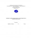 Analisis de la Seguridad Social