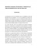 SEGURIDAD CIUDADANA, DELINCUENCIA Y TENSION EN LAS FAMILIAS RESIDENTES EN EL SECTOR CRISTO REY.
