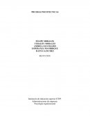 PRUEBAS PSICOTECNICAS