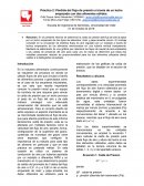 Práctica 2: Pérdida del flujo de presión a través de un lecho empacado con dos alimentos sólidos