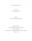 LOGISTICA empresa Multimercado SA