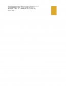 MACROENTORNO WAL-MART